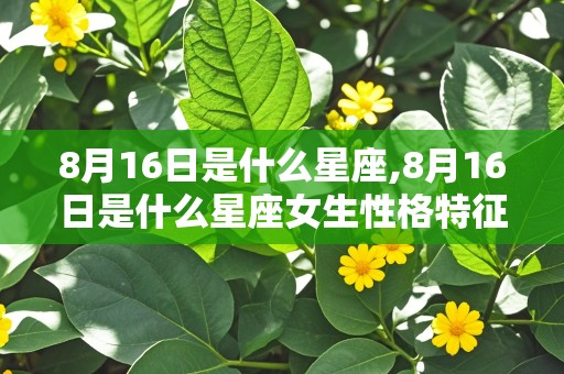 8月16日是什么星座,8月16日是什么星座女生性格特征