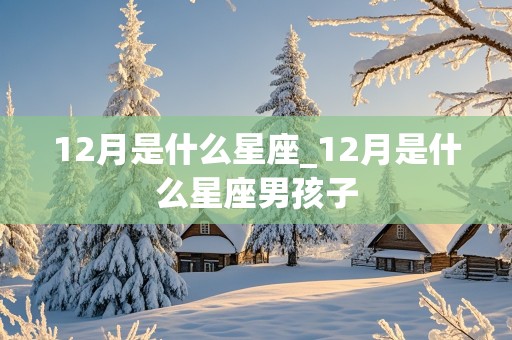 12月是什么星座_12月是什么星座男孩子