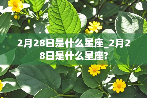 2月28日是什么星座_2月28日是什么星座?