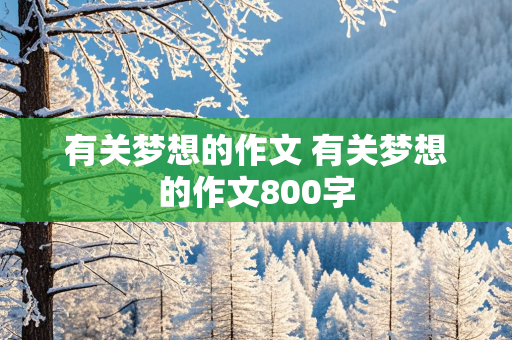 有关梦想的作文 有关梦想的作文800字