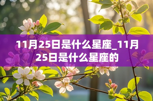 11月25日是什么星座_11月25日是什么星座的