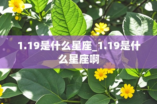 1.19是什么星座_1.19是什么星座啊