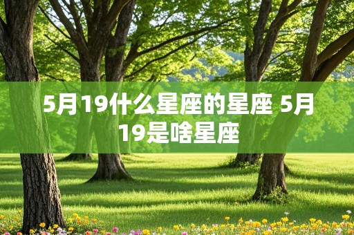 5月19什么星座的星座 5月19是啥星座