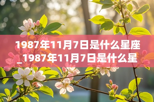 1987年11月7日是什么星座_1987年11月7日是什么星座啊