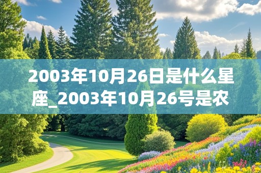 2003年10月26日是什么星座_2003年10月26号是农历几日