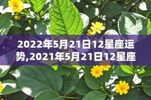 2022年5月21日12星座运势,2021年5月21日12星座运势