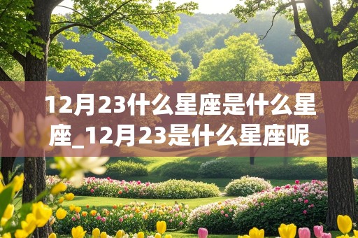 12月23什么星座是什么星座_12月23是什么星座呢