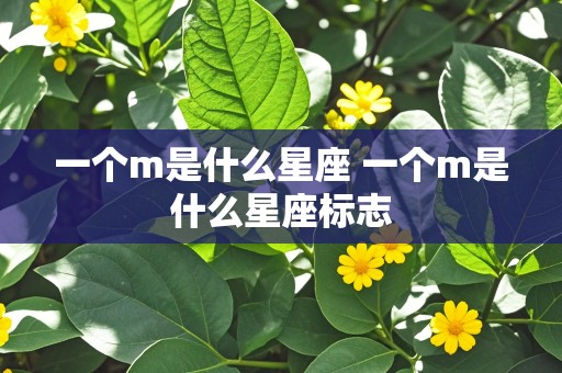 一个m是什么星座 一个m是什么星座标志