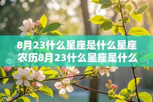 8月23什么星座是什么星座 农历8月23什么星座是什么星座