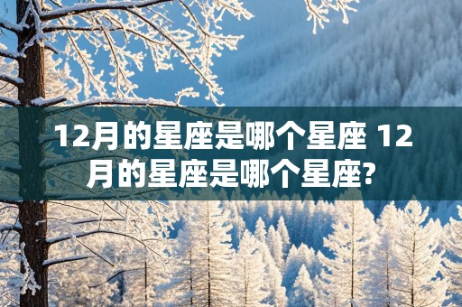 12月的星座是哪个星座 12月的星座是哪个星座?