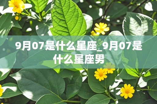 9月07是什么星座_9月07是什么星座男