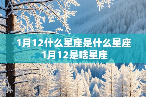 1月12什么星座是什么星座 1月12是啥星座