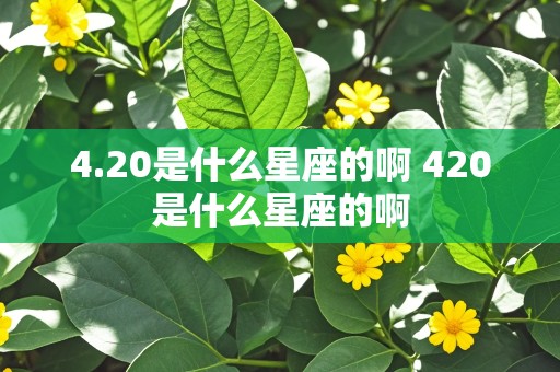 4.20是什么星座的啊 420是什么星座的啊