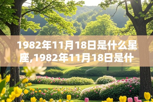 1982年11月18日是什么星座,1982年11月18日是什么星座阴历