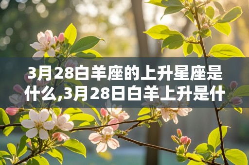 3月28白羊座的上升星座是什么,3月28日白羊上升是什么星座