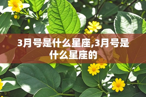 3月号是什么星座,3月号是什么星座的