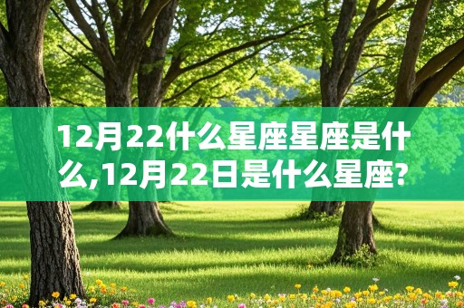 12月22什么星座星座是什么,12月22日是什么星座?农历