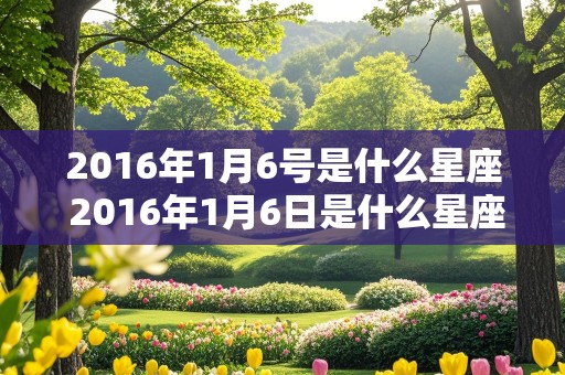 2016年1月6号是什么星座 2016年1月6日是什么星座