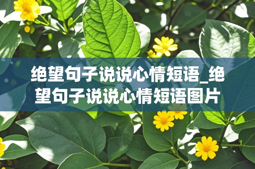 绝望句子说说心情短语_绝望句子说说心情短语图片