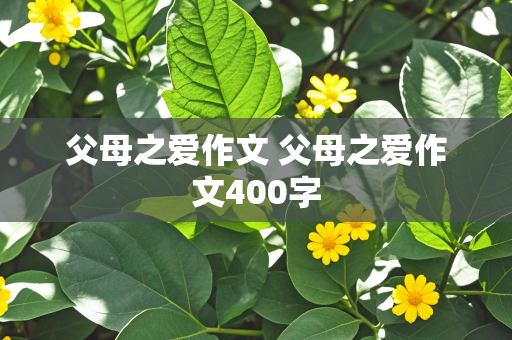 父母之爱作文 父母之爱作文400字