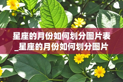 星座的月份如何划分图片表_星座的月份如何划分图片表格