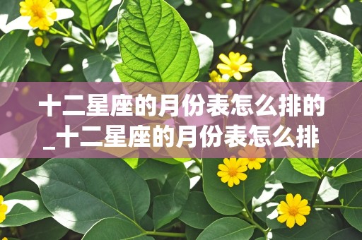 十二星座的月份表怎么排的_十二星座的月份表怎么排的啊