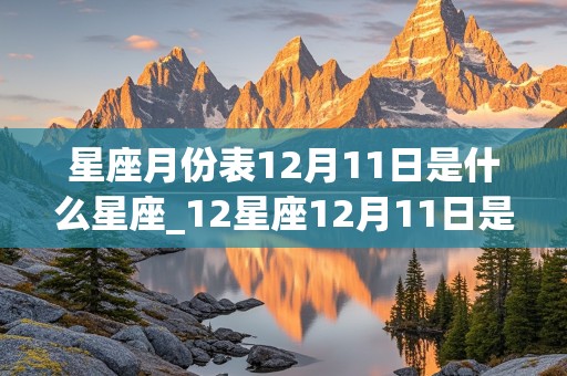 星座月份表12月11日是什么星座_12星座12月11日是什么座