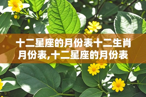 十二星座的月份表十二生肖月份表,十二星座的月份表属性