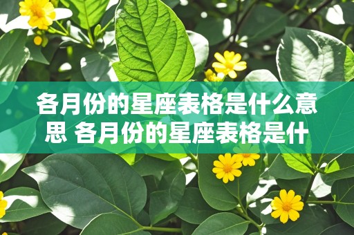 各月份的星座表格是什么意思 各月份的星座表格是什么意思啊