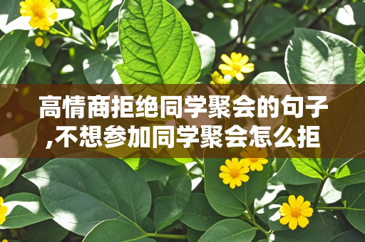 高情商拒绝同学聚会的句子,不想参加同学聚会怎么拒绝比较好