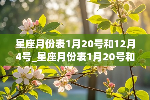 星座月份表1月20号和12月4号_星座月份表1月20号和12月4号的区别