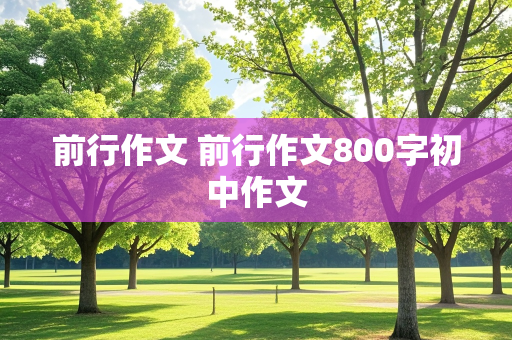 前行作文 前行作文800字初中作文