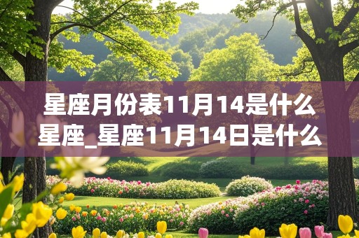 星座月份表11月14是什么星座_星座11月14日是什么星座