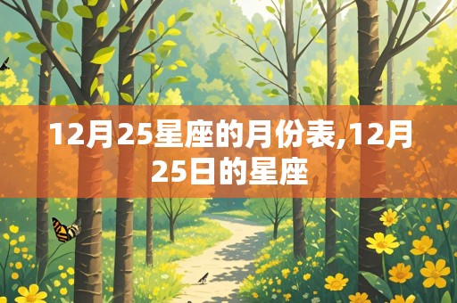 12月25星座的月份表,12月25日的星座