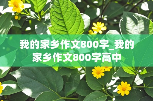 我的家乡作文800字_我的家乡作文800字高中