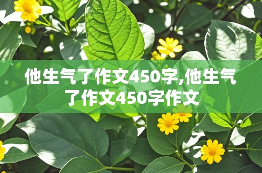 他生气了作文450字,他生气了作文450字作文