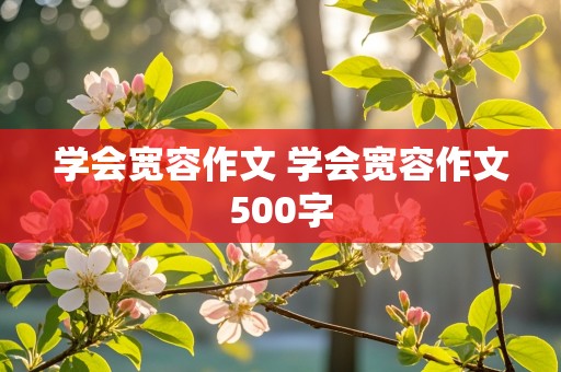 学会宽容作文 学会宽容作文500字