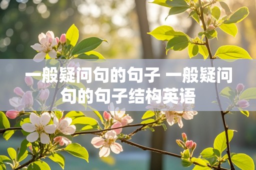 一般疑问句的句子 一般疑问句的句子结构英语