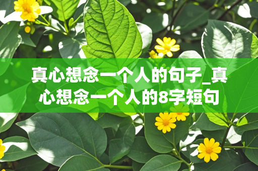 真心想念一个人的句子_真心想念一个人的8字短句