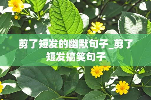 剪了短发的幽默句子_剪了短发搞笑句子