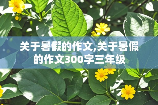 关于暑假的作文,关于暑假的作文300字三年级