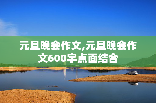 元旦晚会作文,元旦晚会作文600字点面结合