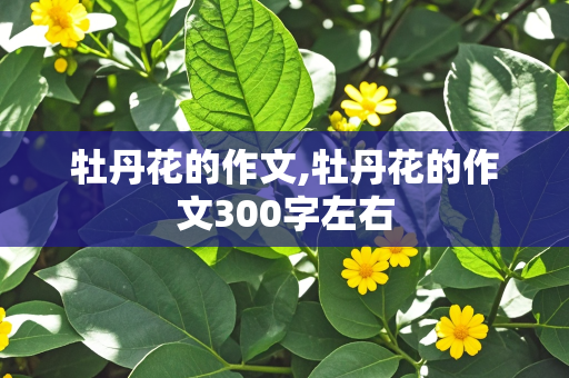 牡丹花的作文,牡丹花的作文300字左右