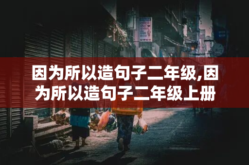 因为所以造句子二年级,因为所以造句子二年级上册