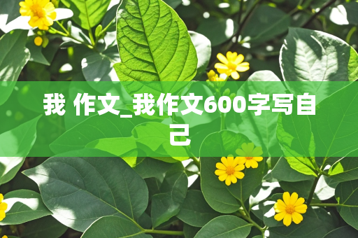 我 作文_我作文600字写自己