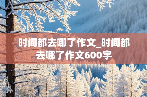 时间都去哪了作文_时间都去哪了作文600字