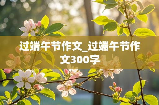 过端午节作文_过端午节作文300字