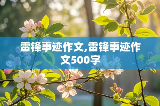 雷锋事迹作文,雷锋事迹作文500字