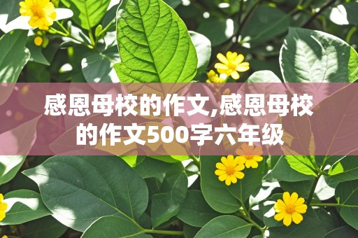 感恩母校的作文,感恩母校的作文500字六年级