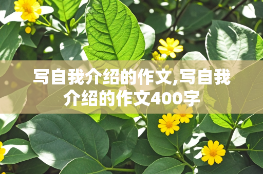 写自我介绍的作文,写自我介绍的作文400字